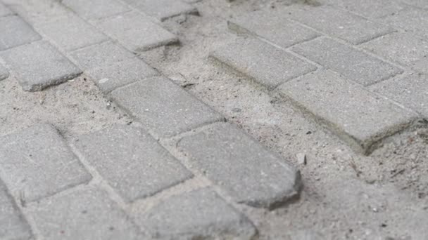 品質の悪い建設作業 歩道への舗装 不足しているブロック — ストック動画