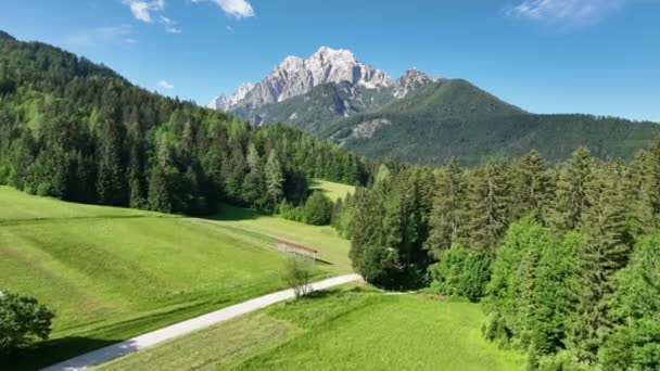 Zelenci Lähtee Julian Alpeille Kesäpäivänä Kaunis Järvi Vuoret Slovenian Maaseudulla — kuvapankkivideo