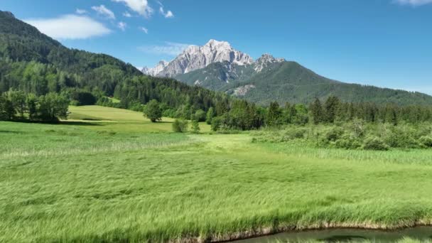 Letni Dzień Zelenci Wypływają Alpach Julijskich Piękne Jezioro Góry Słoweńskiej — Wideo stockowe