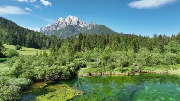 Zelenci Springt Een Zomerdag Juliaanse Alpen Prachtig Meer Bergen Het — Stockvideo