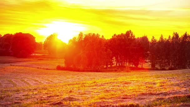 Meadow Farmland Pastures Flooded Red Blood Sky — Vídeos de Stock