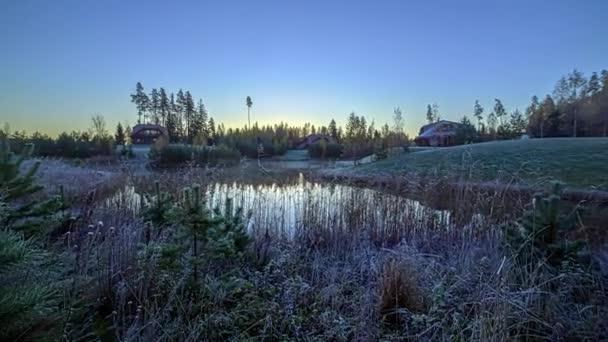 Marshy Surroundings Nightmarish Cabin Woods — ストック動画