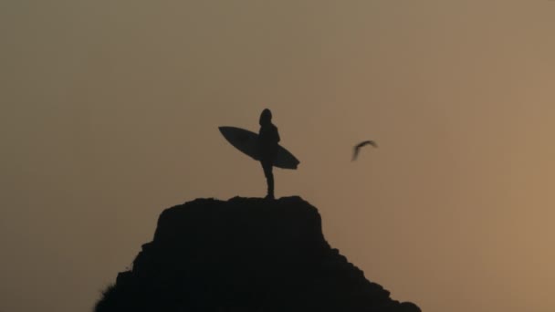 Zwarte Silhouet Surfer Met Surfplank Rocky Beach Sky Achtergrond — Stockvideo