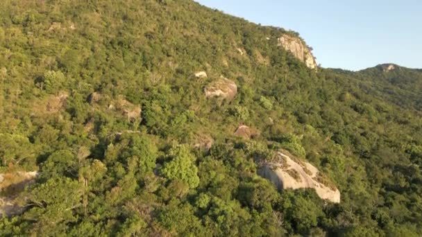 Rosnący Widok Lotu Ptaka Zielone Drzewa Krzewy Rugged Mountain Słoneczny — Wideo stockowe