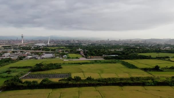 Aerial View Rice Fields Front Taipei Skyline — Stockvideo