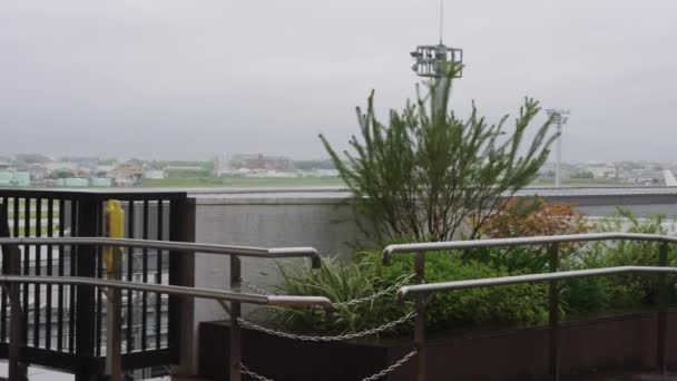 Storm Arrives Kansai Japan Itami Airport Wind Rain Growing Stronger — Vídeo de Stock