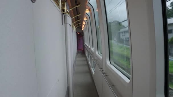 Wnętrze Luksusowego Ekspresu Zwiedzanie Kintetsu Line Peryferie Japonii — Wideo stockowe