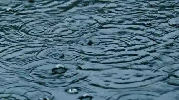 Movimiento Lento Las Gotas Lluvia Que Caen Carretera Sumergida — Vídeos de Stock