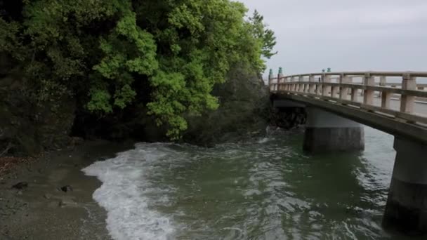 Olas Puente Través Del Santuario Meoto Iwa Prefectura Mie Japón — Vídeos de Stock