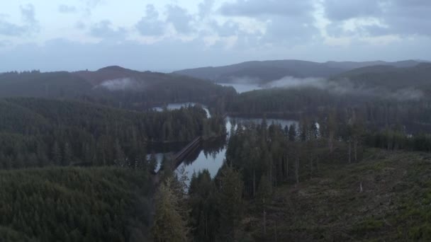 Oregon Daki Tahkenitch Gölü Nden Geçen Tren Tren Rayları — Stok video