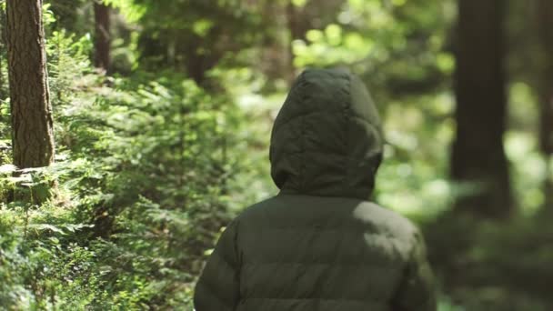 Samotne Dziecko Lesie Dziecięcy Turysta Zgubił Się Zaroślach Zdenerwowane Dziecko — Wideo stockowe
