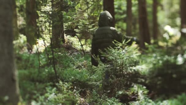 Niño Solo Bosque Niño Turista Perdió Matorral Niño Molesto Está — Vídeos de Stock