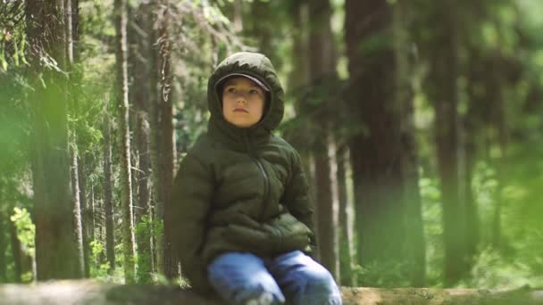一个人在森林里一个儿童游客在灌木丛中迷了路 一个心烦意乱的孩子正在等着被发现 有选择的重点 — 图库视频影像