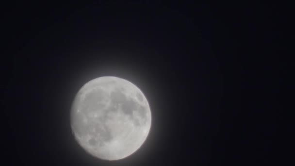 Terrible Moonlight Small Clouds Horror Movie Moonlight Dramatic Month Haze — Stockvideo