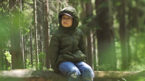一个人在森林里一个儿童游客在灌木丛中迷了路 一个心烦意乱的孩子正在等着被发现 有选择的重点 — 图库视频影像