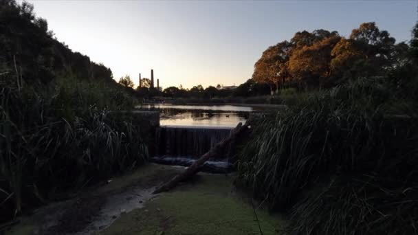 Sun Sets Sydney Park Sydney Australia — Vídeo de stock