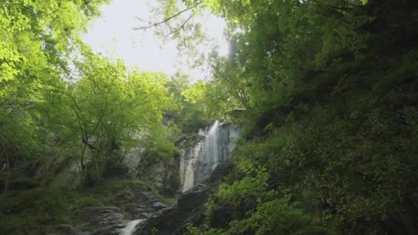 Waterval Vloeren Omgeven Door Dichte Vegetatie — Stockvideo