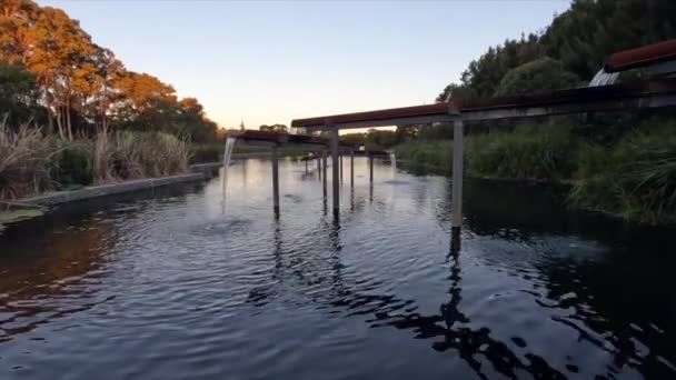 Una Caratteristica Dell Acqua Sfocia Lago Sydney Park Australia — Video Stock