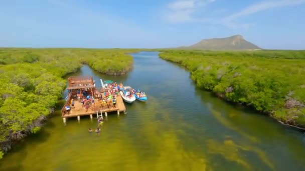 Drohnenschuss Umkreist Ökotouristen Auf Bootstour Auf Aussichtsplattform Stehend Schwimmen Erleben — Stockvideo