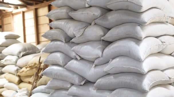 Sacks Coffee Coffee Factory Hemp Sacks Containing Coffee — Video