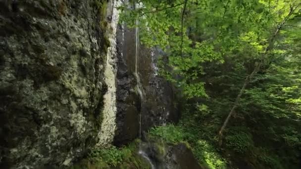 Vattenfall Skogen Synligt Mellan Grenarna Träd — Stockvideo