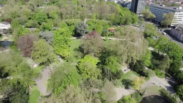 Aerial View Hofgarten Green Park Dusseldorf City Center — 비디오