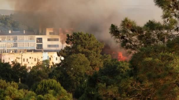 View Dark Smoke Flames Fire Cork Factory Portugal — Stockvideo