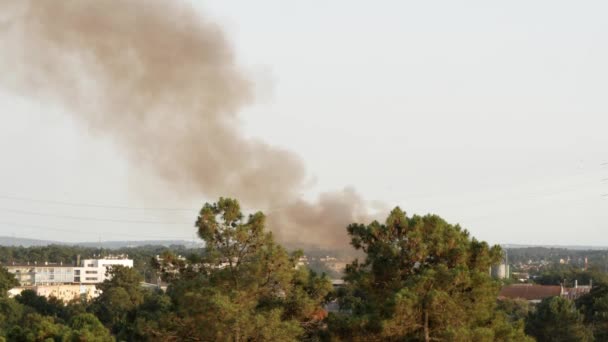 Enorme Kolom Rook Van Vuur Kurkfabriek Seixal Griekenland — Stockvideo