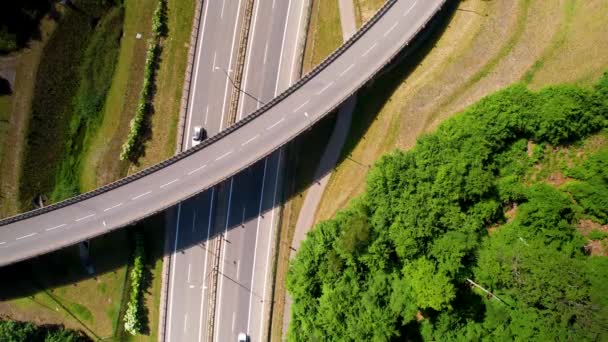 Bilar Kör Längs Multi Level Transport Interchange Genom Green Dense — Stockvideo