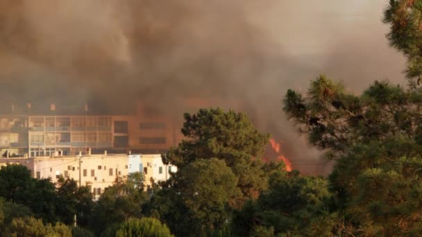 Dark Smoke Flames Fire Liège Factory Residencial Buildings Seixal — Video