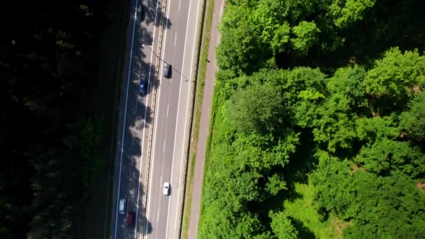 Straight Highway Asfalt Green Dense Forest Gdynia Polen Bovengrondse Lucht — Stockvideo