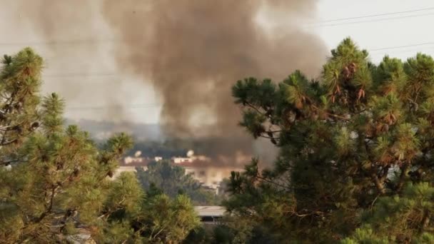 Ciemny Dym Widoku Ognia Przez Wysokie Sosny Seixal Portugalia — Wideo stockowe