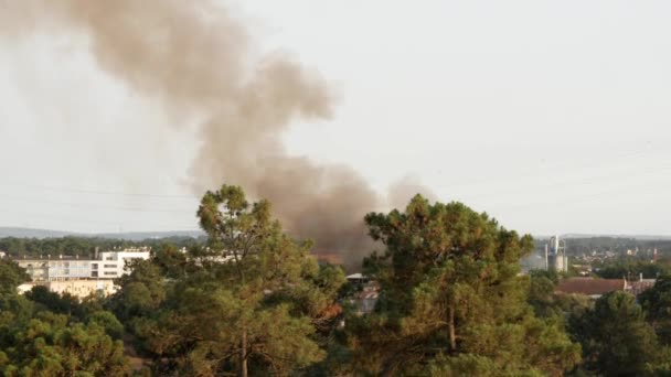 Stadtbrand Der Nähe Von Wohnhäusern Schwarze Rauchschwaden Seixal Portugal — Stockvideo