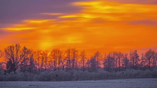 Country Road Tree Silhouettes Winter Vibrant Sunset Sky Včasná — Stock video