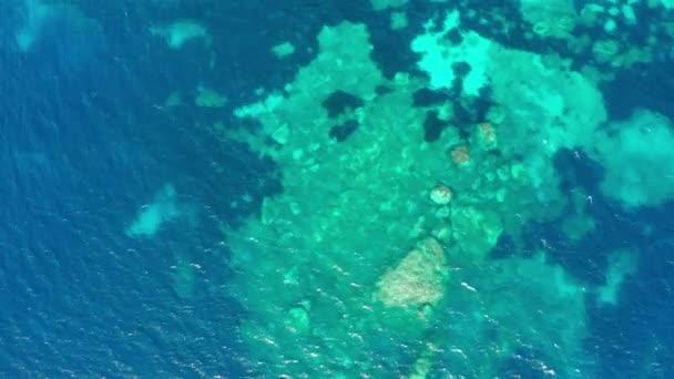 Spektakulärer Blick Von Oben Auf Blaues Wasser Inmitten Von Korallenriffen — Stockvideo