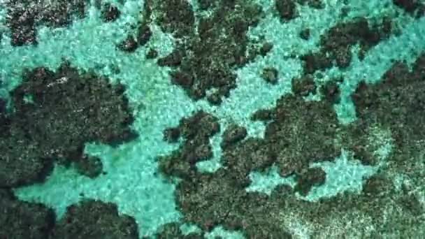 Top View Coral Reef Crystal Clear Tropical Water New Caledonia — Vídeo de Stock