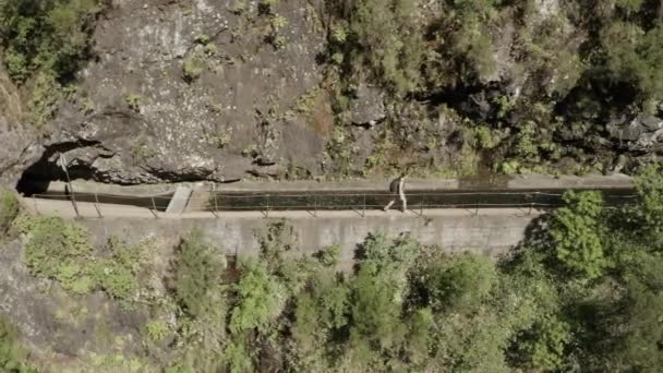 Aerial Follow Shot Girl Hiking Ridge Madeira Forest — Vídeo de stock