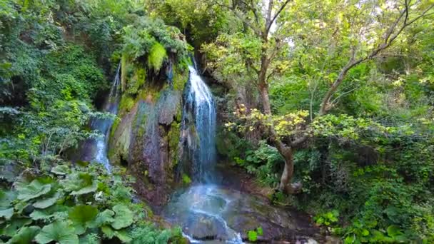 Blue Pool Forest Waterfall Zheravna Village Bulgaria Moving Camera Slow — Vídeo de Stock
