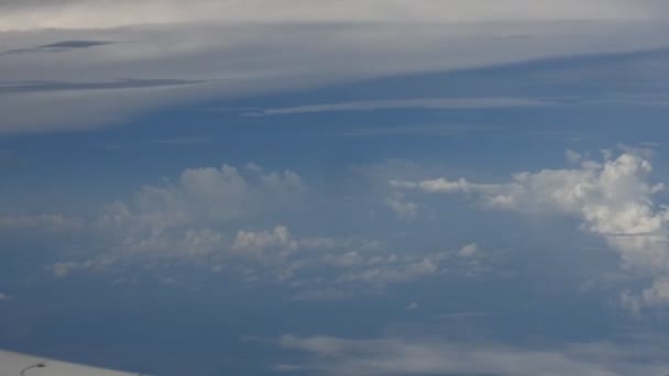 Het Uitzicht Vanuit Het Vliegtuigraam Zomerdag Vliegtuig Vliegen Het Uitzicht — Stockvideo