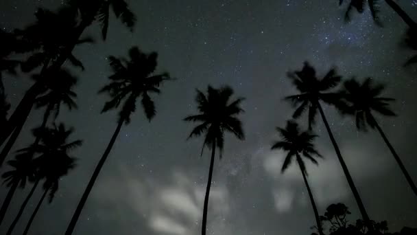 Nachtelijke Verloop Van Wolken Sterren Melkweg Galaxy Boven Tropische Palmbomen — Stockvideo