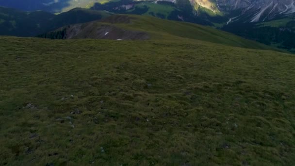 Grässlandets Äng Flygfoto Avslöjar Ensam Sydtyrolen Peitlerkofel Solig Bergstopp — Stockvideo