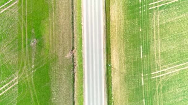 Vista Aérea Del Dron Carretera Rural Con Los Coches Que — Vídeo de stock