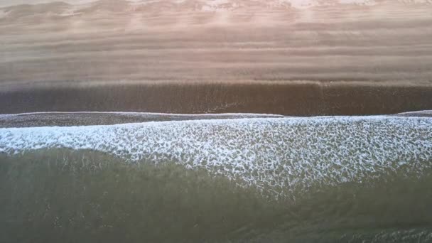 Waves Low Tide Rolling Black Sand Beach — 비디오