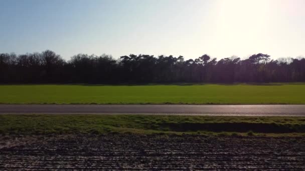 Drone Shot Grass Field Trees Background Sunny Day Blue Sky — Video Stock