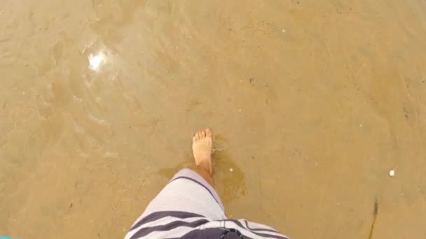 Topdown View Male Barefoot Walking Wet Sand Slow Motion — Vídeos de Stock