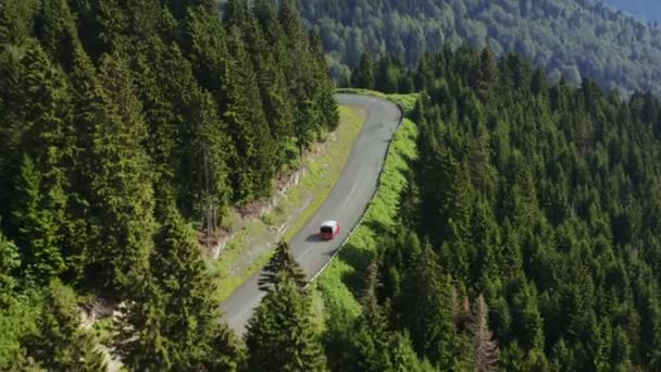 Auto Auf Einer Straße Einem Dichten Kiefernwald Arial Folgen Aufnahmen — Stockvideo