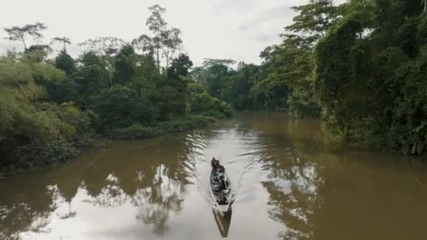 Tourists Boat Tour Amazon River Rainforest Ecuador Aerial Pullback — Stockvideo