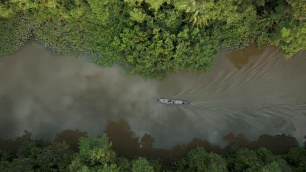Turistická Jízda Domorodé Lodi Plachtění Přes Amazon River Forest Ekvádoru — Stock video