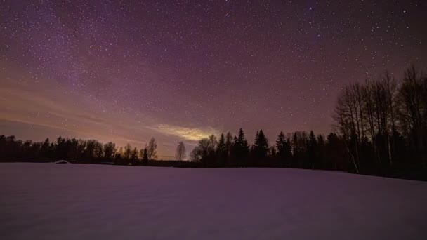 星空的夜晚时间 银河状 在星群中可见 星群背景为树木轮廓 — 图库视频影像