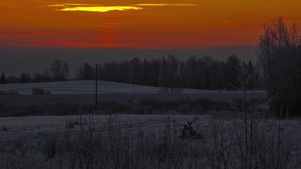 黄天上的日出和雪地上飘扬的云彩 以及汽车驶过的道路 都是美丽的画面 背景中的无叶树 — 图库视频影像